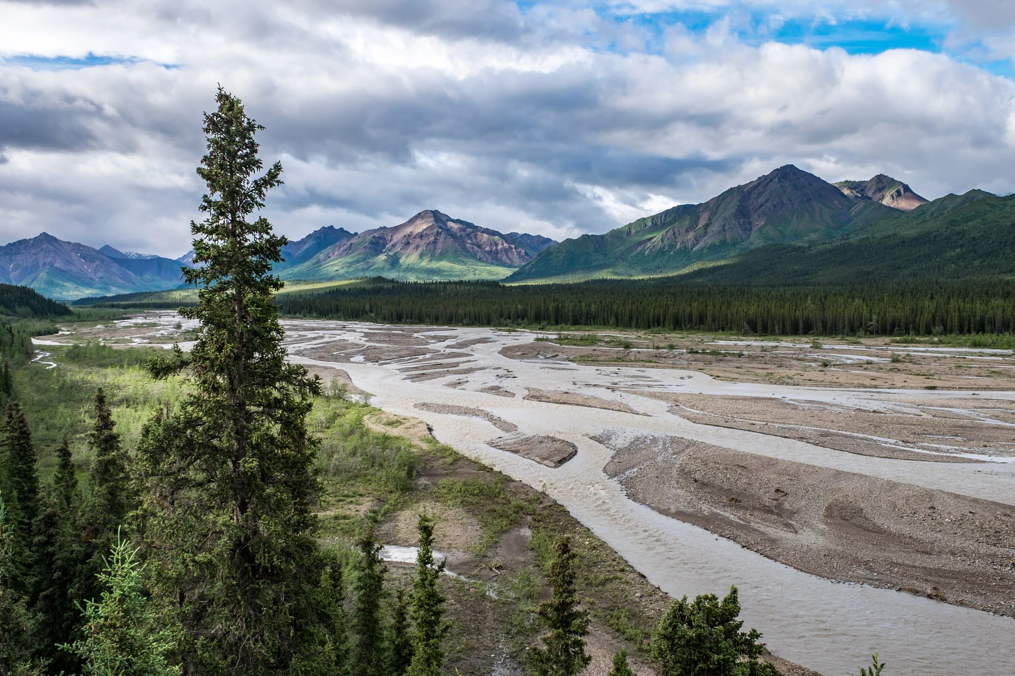 Denali National Park — The Greatest American Road Trip